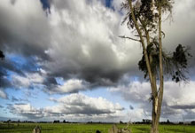 3377体育NBA：法甲｜6比1大胜圣埃蒂安 巴黎封王近在咫尺.