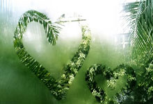 29岁的职业球员，只踢过一场职业比赛.