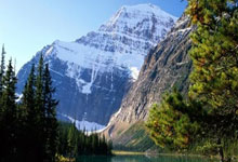 归化受排挤？塞鸟首秀发挥亮眼 国足内部评价一般.