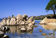 3377体育NBA:记者:世预赛阿根廷主场战巴西的.万张球票已经售罄.